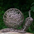 Large Filigree Snail