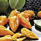 Chilli Peach Habanero Seeds Units: Average Packet Content 25 seeds - Vegetable Seeds