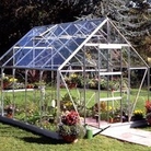 Single Door Aluminium Greenhouse With Toughened Glass & Base - 10 x 8 Model
