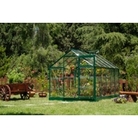 Palram Green Line 6x10 Greenhouse Clear/Green finish