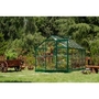 Palram Green Line 6x10 Greenhouse Clear/Green finish
