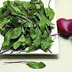 Spinach Bordeaux Seeds Units: Average Packet Content 250 seeds - Vegetable Seeds