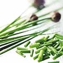 Chives - Groweasy Seed Mats Units: Pack of 5 Seed Mats - Groweasy Seed Mats