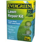 Evergreen Lawn Repair Kit
