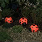 Ladybird set of 4