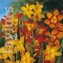 Montbretia Bulbs