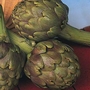 Artichoke Green Globe Improved Seeds