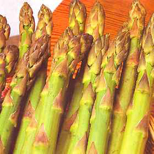 Asparagus Martha Washington Seeds