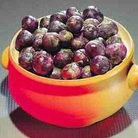 Brussels Sprout Falstaff Seeds