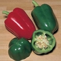 Capsicum Sweet Pepper Unicorn F1 Seeds