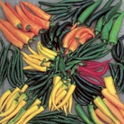 Chilli Peppers Hot Stuff Seeds
