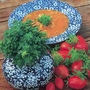 Herb Basil Bush Seeds