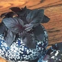 Herb Basil Red Seeds
