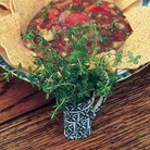 Herbs Thyme Common Seeds