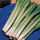 Leek King Richard Seeds