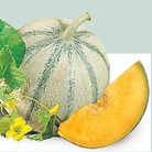 Melon Edonis F1 Seeds