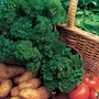 Parsley Favorit Seeds