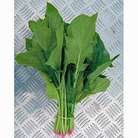 Spinach Oriento F1 Hybrid Seeds
