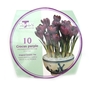 Crocus Purple Delft Ceramic Bowl Kit