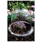 Haxnicks Baby Victorian Bell Garden Cloche x 3