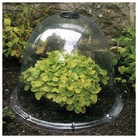 Haxnicks Original Victorian Bell Garden Cloche x 3