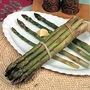 Asparagus : Connover's Colossal : Spring Planting 25 crowns