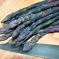 Asparagus : Purple Pacific - Spring Planting 25 crowns
