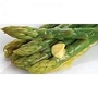 Asparagus : Pacific 2000 : Autumn Planting 25 crowns