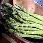 Asparagus : Backlim : Spring Planting 25 crowns