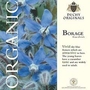Borage : Duchy Originals 1 packet (40 seeds)