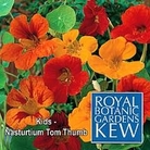 Kew for Kids : Nasturtium Tom Thumb 1 packet