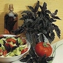 Basil : Purple Ruffles (Ocimum Minimum) 1 packet (150 seeds)