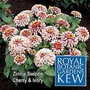 Royal Botanic Gardens Kew Range : Zinnia Swizzle Cherry & Ivory 1 packet