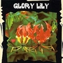 Exotic : Glory Lily (Gloriosa Superba) 1 packet (6 seeds)