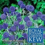 Kew : Echinops Ruthenicus 1 packet (20 seeds)