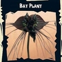 Bat Plant (Tacca chantrierei) : Exotic 1 packet