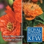Royal Botanic Gardens Kew Range : Poppy (Meconopsis) cambrica Double Mixed 1 packet