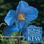 Royal Botanic Gardens Kew Range : Poppy (Meconopsis) grandis 1 packet