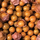 Cape Gooseberry - Golden Berry Pineapple 1 packet