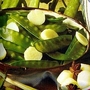Mangetout Pea : Oregon Sugar Pod 1 packet