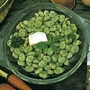 Bean : Broad Bean : Express 1 packet (50 seeds)