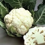 Cauliflower : White Excel F1 Hybrid (Late Summer/Autumn) 1 packet