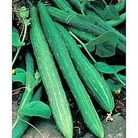 Vita Sementi Italian Seeds : Cucumber : Cetriolo Slangen Longo Da China 1 packet