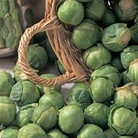 Brussels Sprout : Bedford Fillbasket 1 packet
