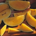 Watermelon : Yellow Baby 1 packet