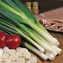 Onion : Bunching/Spring : Ishikuro 1 packet (375 seeds)