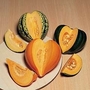 Squash : Winter : Celebration Mixed F1 Hybrid 1 packet