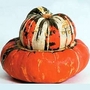 Squash : Winter : Turk's Turban 1 packet