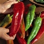 Pepper : Sweet : Big Banana F1 1 packet