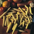 Zea mays : Minor F1 1 packet